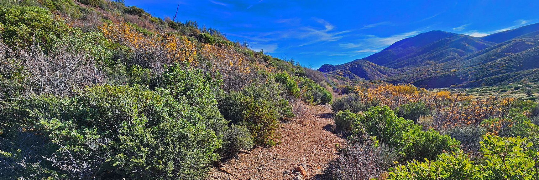 Lower East Loop is Excellent, Well Defined Trail | Griffith Shadow Loop | Lovell Canyon, Nevada