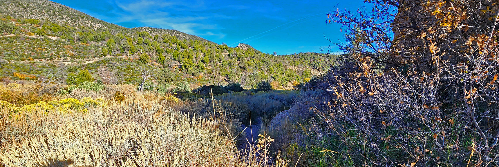 Now on the Final 2-mile Stretch Toward the Trailhead. | Griffith Shadow Loop | Lovell Canyon, Nevada
