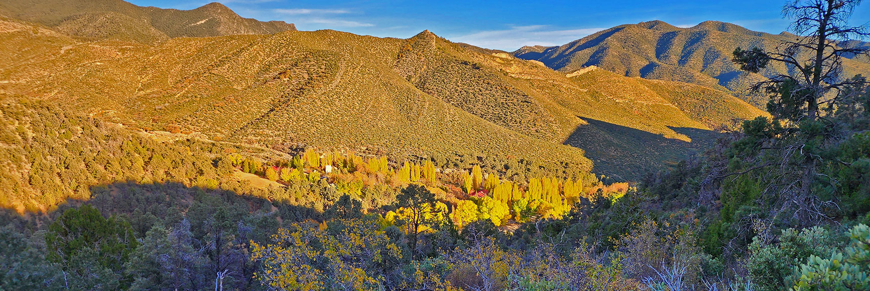 Torino Ranch/Children's Camp Below in Colorful Fall Trees. | Griffith Shadow Loop | Lovell Canyon, Nevada