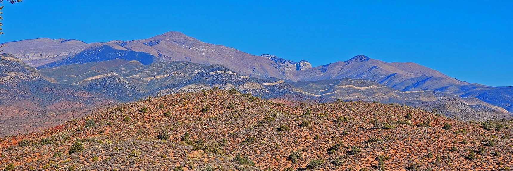 Closer View of Griffith Peak (left) Mummy Mt. (middle) Harris Mt. (right). | Landmark Bluff Circuit | Lovell Canyon, Nevada