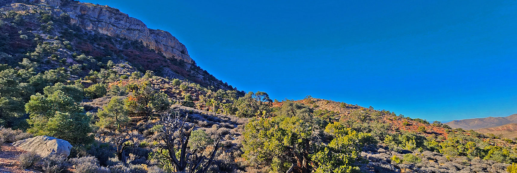 Head Down Each Ridge Diagonally Toward the Cliffs, Up Each Ridge Away from the Cliffs. | Landmark Bluff Circuit | Lovell Canyon, Nevada