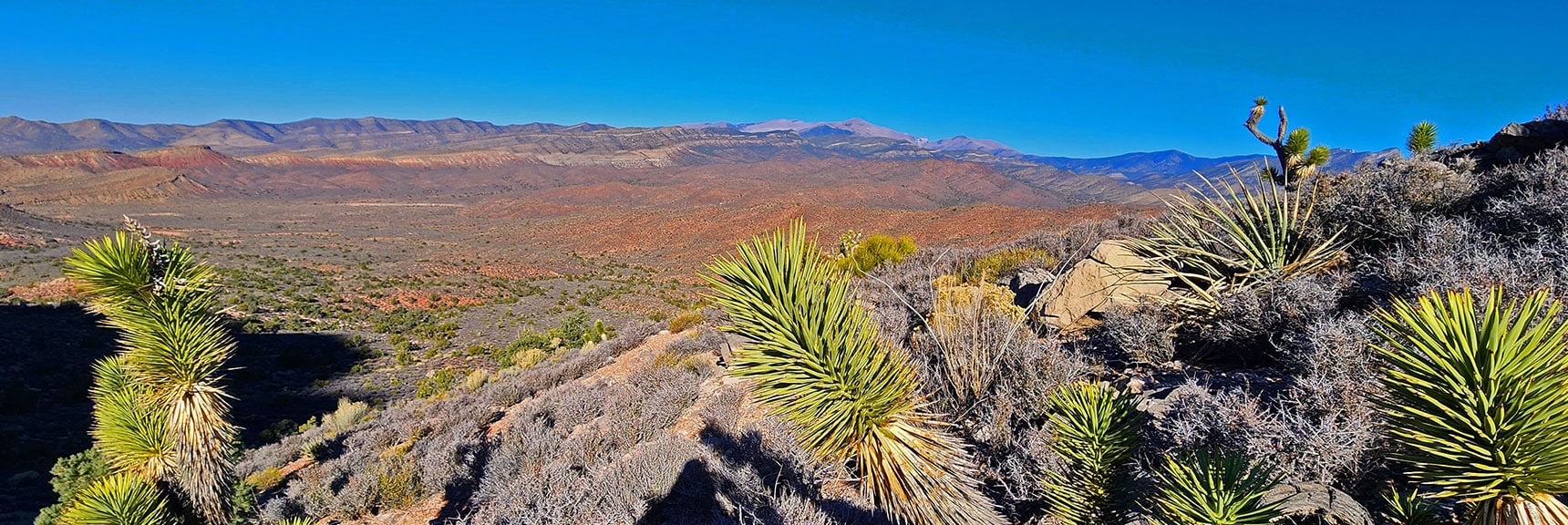 Beautiful Desert Landscape to a Backdrop of the Upper Canyon & Mt. Charleston Wilderness. | Landmark Bluff Circuit | Lovell Canyon, Nevada