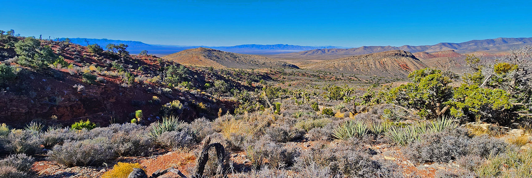 Stark Lower Western Desert Creates Sharp Contrast to Mountain Pines and Junipers. | Landmark Bluff Circuit | Lovell Canyon, Nevada