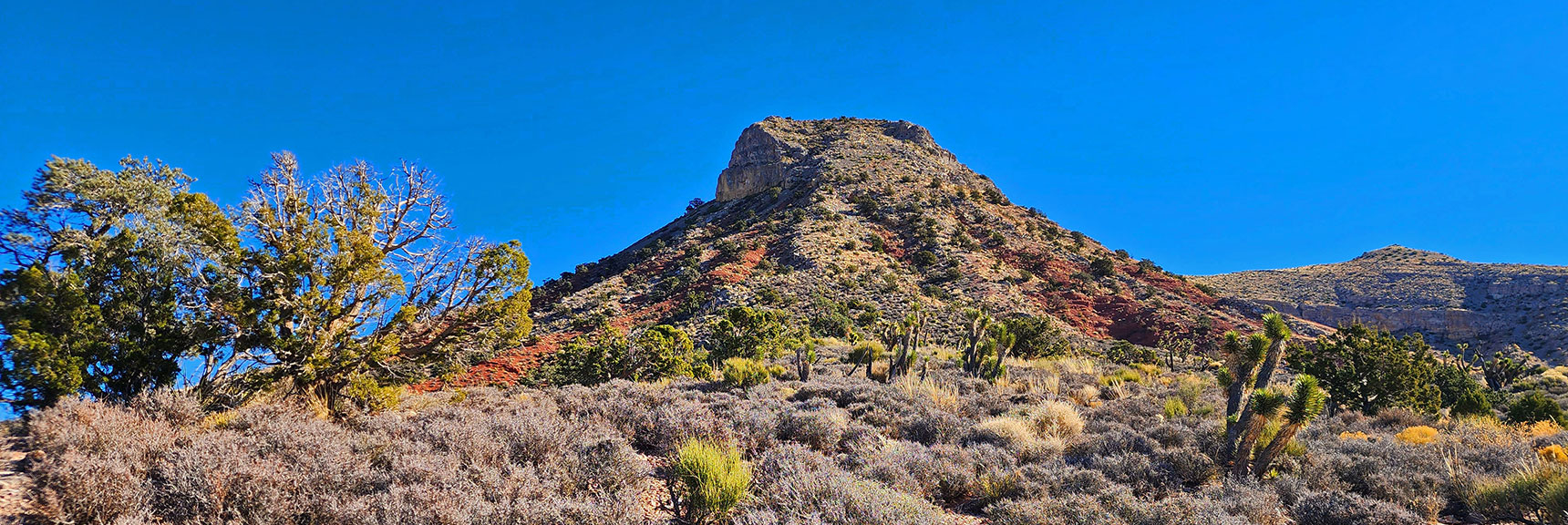 NW Corner of Landmark Bluff Summit Approach Ridge...Picture Perfect Desert Landscape. | Landmark Bluff Circuit | Lovell Canyon, Nevada
