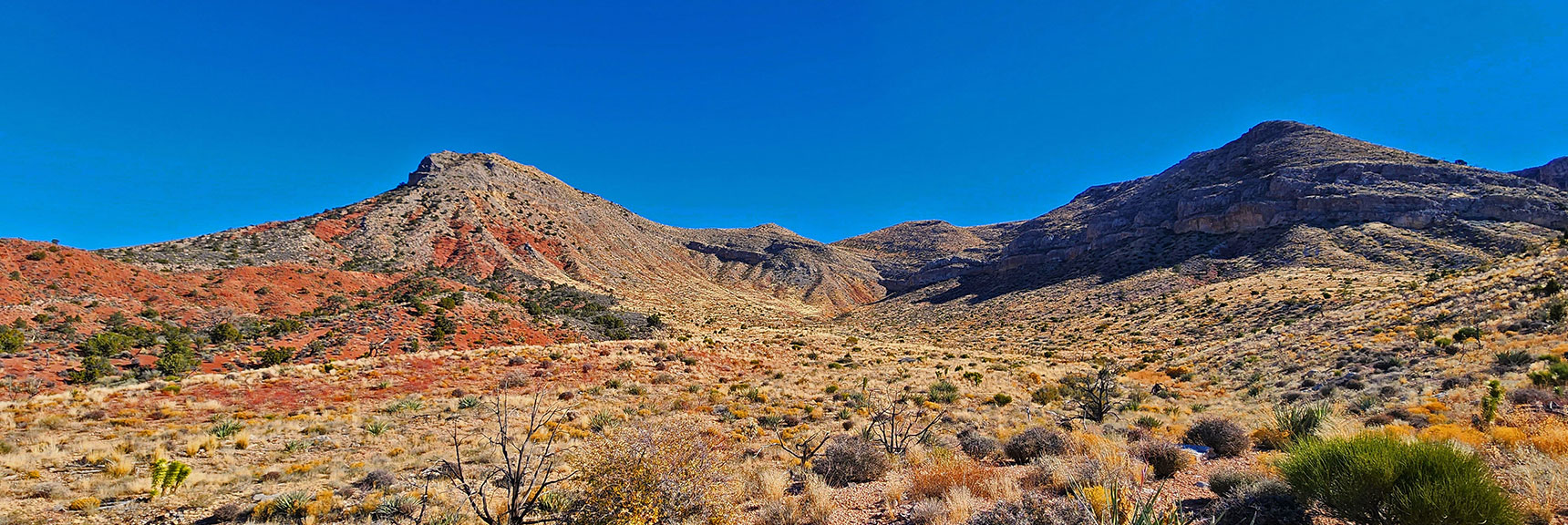 View into the North Canyon. North (left) Side Has Potential Summit Approaches. | Landmark Bluff Circuit | Lovell Canyon, Nevada