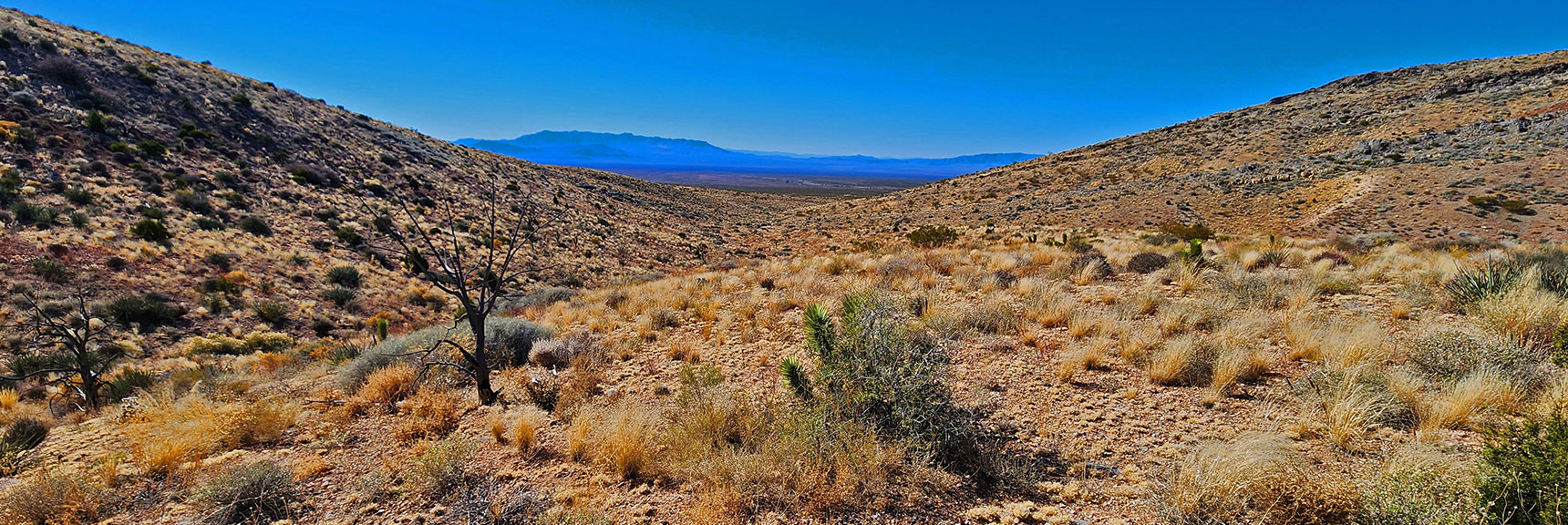 Continuing to Head SW Toward Nopah Range. Will Connect with Western Road System. | Landmark Bluff Circuit | Lovell Canyon, Nevada