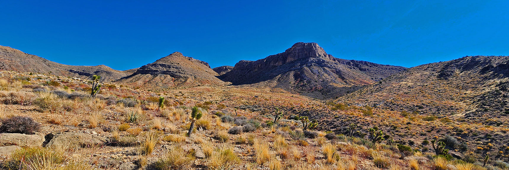 View into Second Canyon from North. Best Summit Approaches Will in Shallow Canyon to the Right. | Landmark Bluff Circuit | Lovell Canyon, Nevada