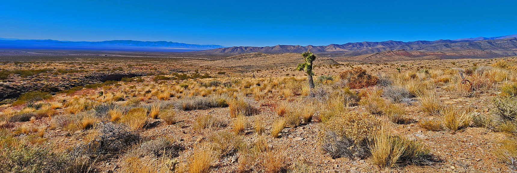 Northwestern View Toward Death Valley, Beyond Distant Range. | Landmark Bluff Circuit | Lovell Canyon, Nevada