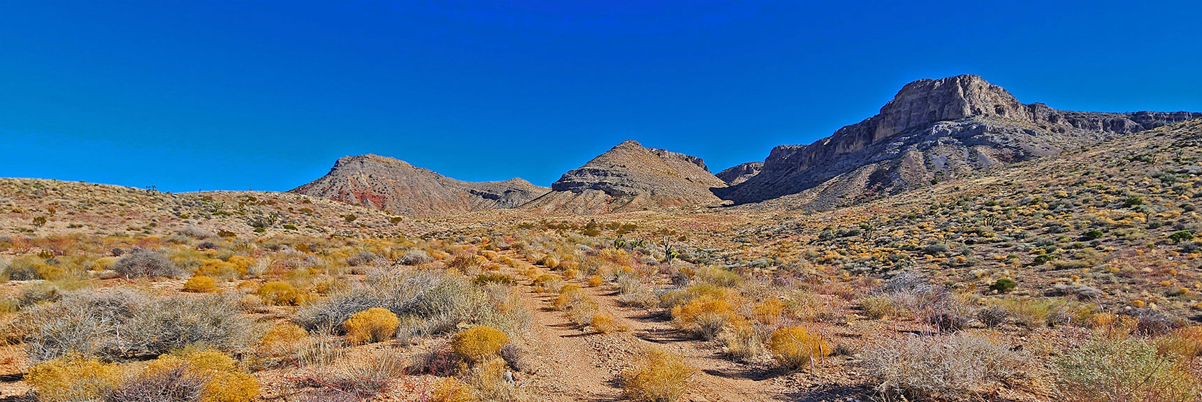 Crossing Road that Extends into Second Canyon North. Why the Road? Future Adventure. | Landmark Bluff Circuit | Lovell Canyon, Nevada