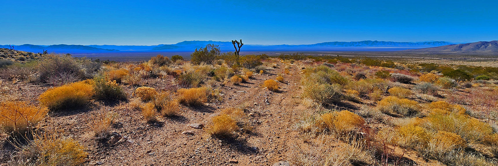 This Road Extension Leads West to CC Spring Road. Not for Today. | Landmark Bluff Circuit | Lovell Canyon, Nevada
