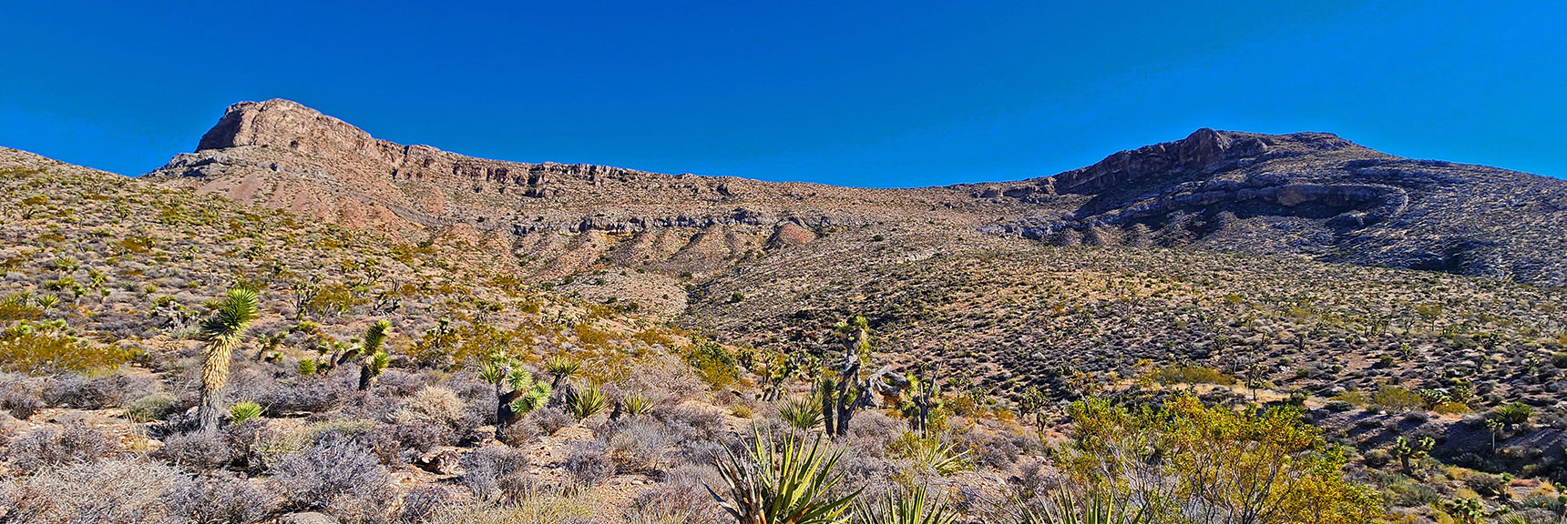 Third Canyon Ridge from North. Best Summit Approach Yet. This May Be the Key. | Landmark Bluff Circuit | Lovell Canyon, Nevada