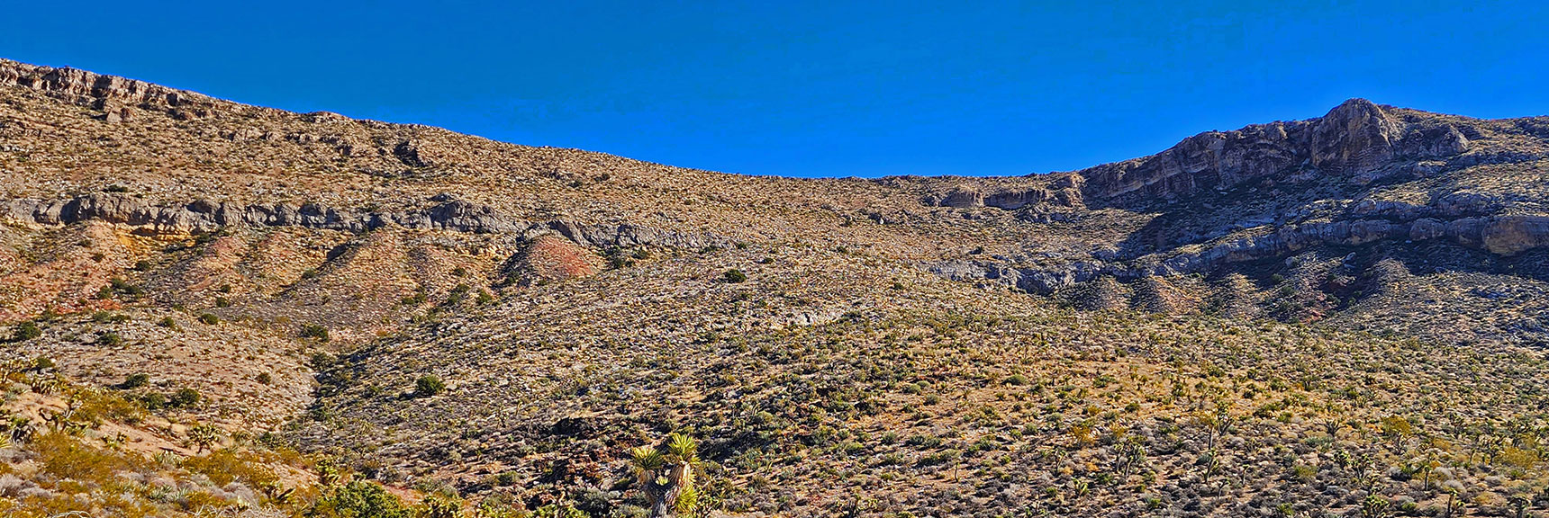 Perfect Gradual Summit Slope. A Future Walk to the Top! | Landmark Bluff Circuit | Lovell Canyon, Nevada