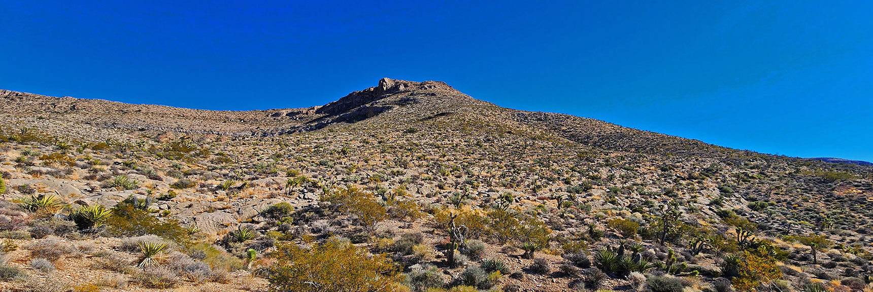 Another Potential Summit Approach on South Side of This Shallow Canyon. | Landmark Bluff Circuit | Lovell Canyon, Nevada