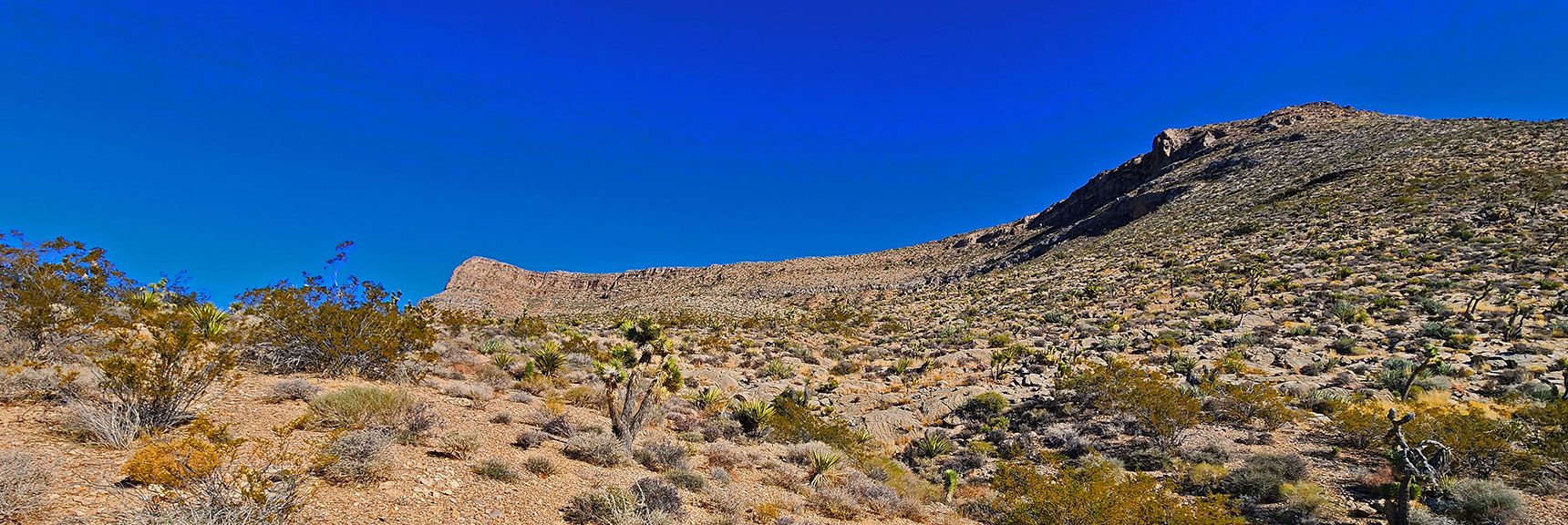 Looking Back at the Shallow, Best Summit Approach Canyon. | Landmark Bluff Circuit | Lovell Canyon, Nevada