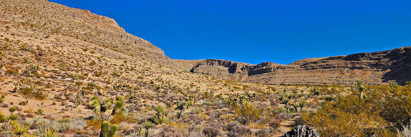 Next Comes Mule Spring Canyon. A Few Steeper Summit Approaches and a Beautiful Spring. | Landmark Bluff Circuit | Lovell Canyon, Nevada