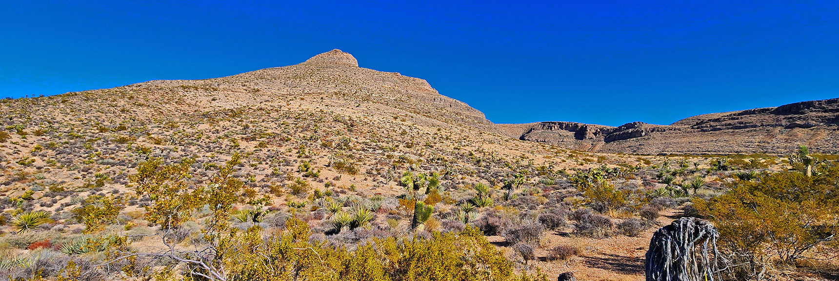 A Deeper Look into Mule Spring Canyon. | Landmark Bluff Circuit | Lovell Canyon, Nevada