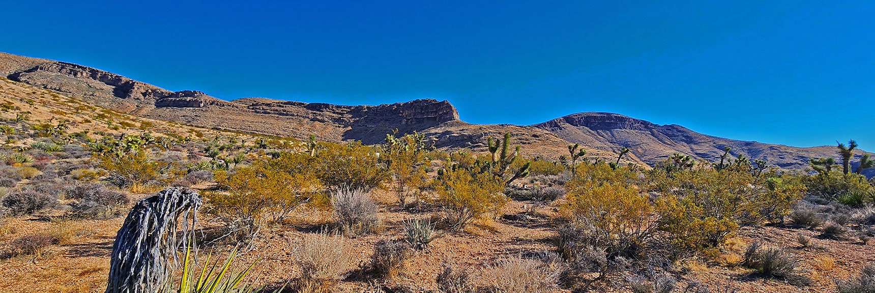 South Edge of Mule Spring Canyon. Final Western Canyon is Just South (to right) | Landmark Bluff Circuit | Lovell Canyon, Nevada