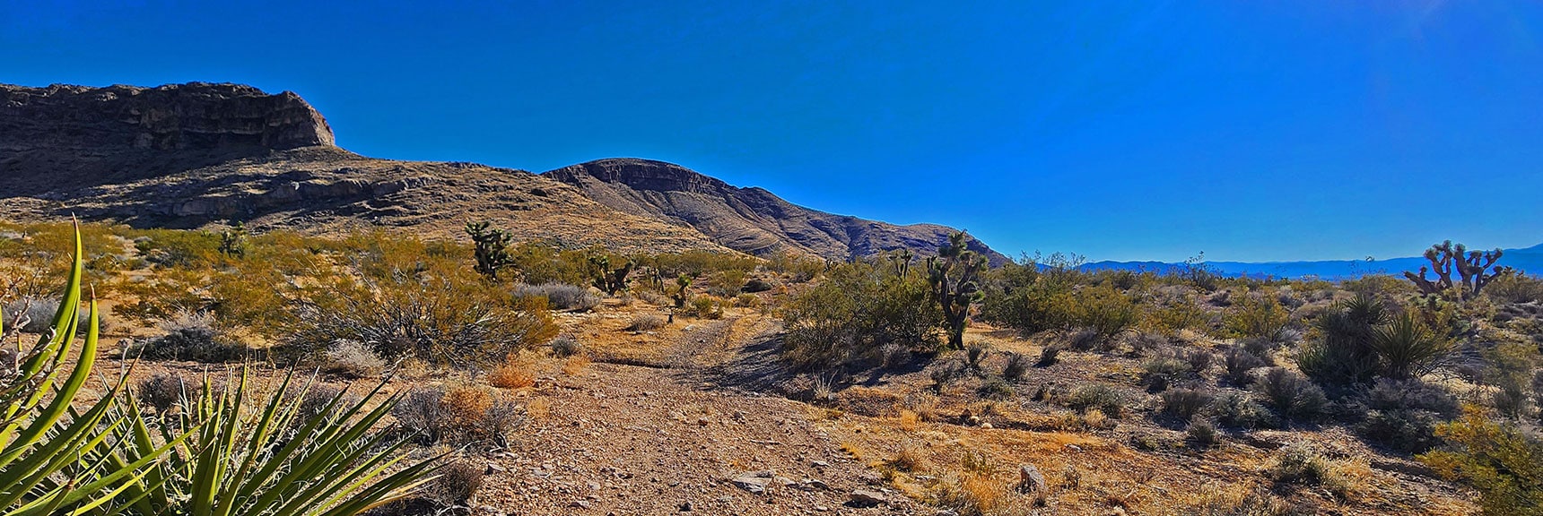 Connecting with the Westside Road Just Below the Entrance of Mule Spring Canyon. | Landmark Bluff Circuit | Lovell Canyon, Nevada