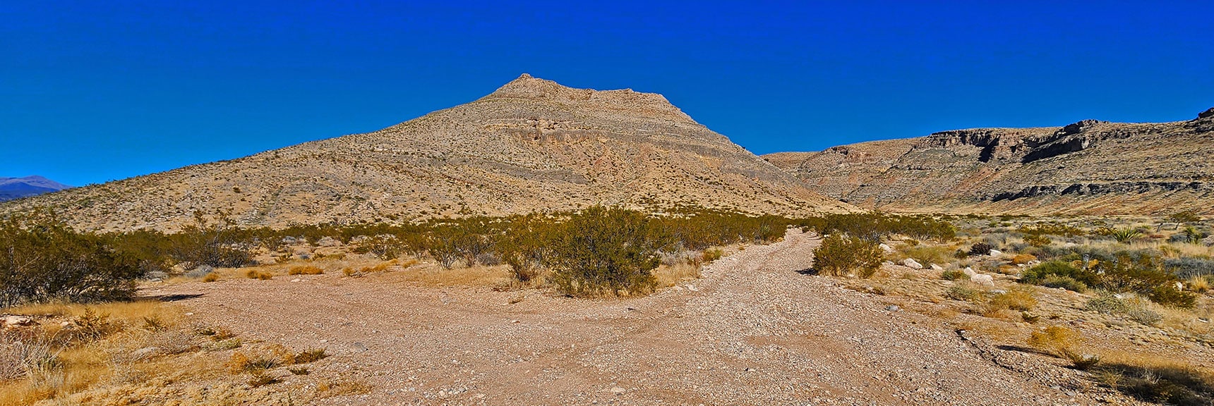 Right Divide into Mule Spring Canyon. Left Divide to CC Spring Rd. | Landmark Bluff Circuit | Lovell Canyon, Nevada