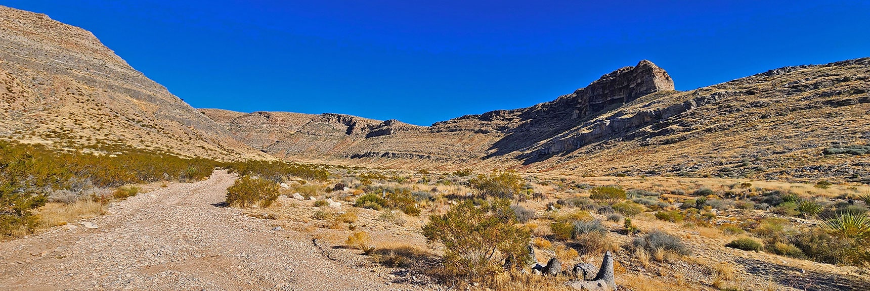 View Up Road into Mule Spring Canyon. | Landmark Bluff Circuit | Lovell Canyon, Nevada