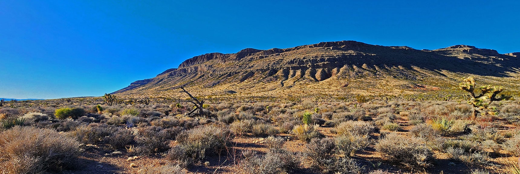 Bluff's Southeast Corner. Could Traverse Higher Up on Non Target Shooting Days. | Landmark Bluff Circuit | Lovell Canyon, Nevada