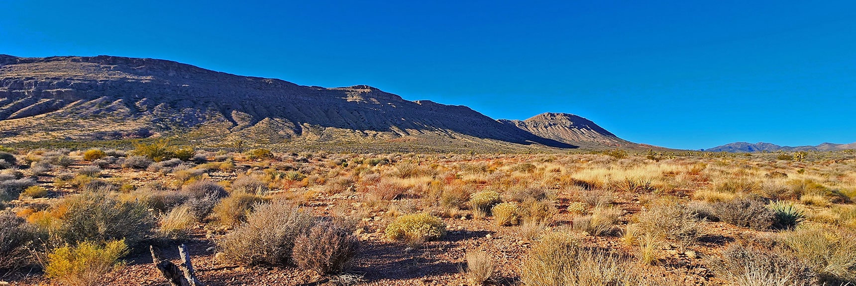 Long View of Bluff's East Side. Start Point is at Far End. | Landmark Bluff Circuit | Lovell Canyon, Nevada