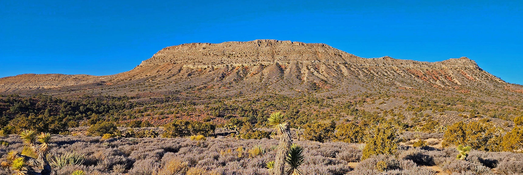 Landmark Bluff At Salt Grass Road | Landmark Bluff | Lovell Canyon, Nevada