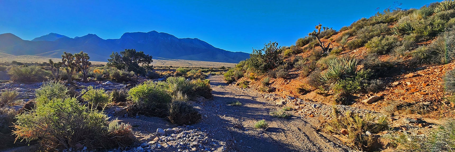 Begin by Entering a Wash Across Lovell Canyon Road | Landmark Bluff | Lovell Canyon, Nevada