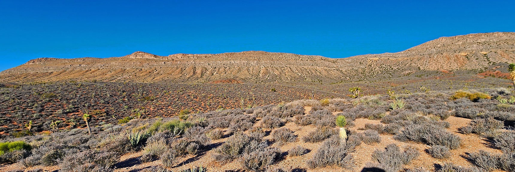 The Eastern Side of Landmark Bluff is Guarded in Most Places by Vertical Headwalls | Landmark Bluff | Lovell Canyon, Nevada