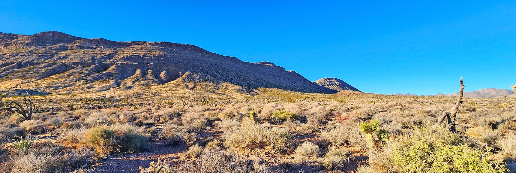 Looking Back Along the SE Corner of the Bluff | Landmark Bluff | Lovell Canyon, Nevada