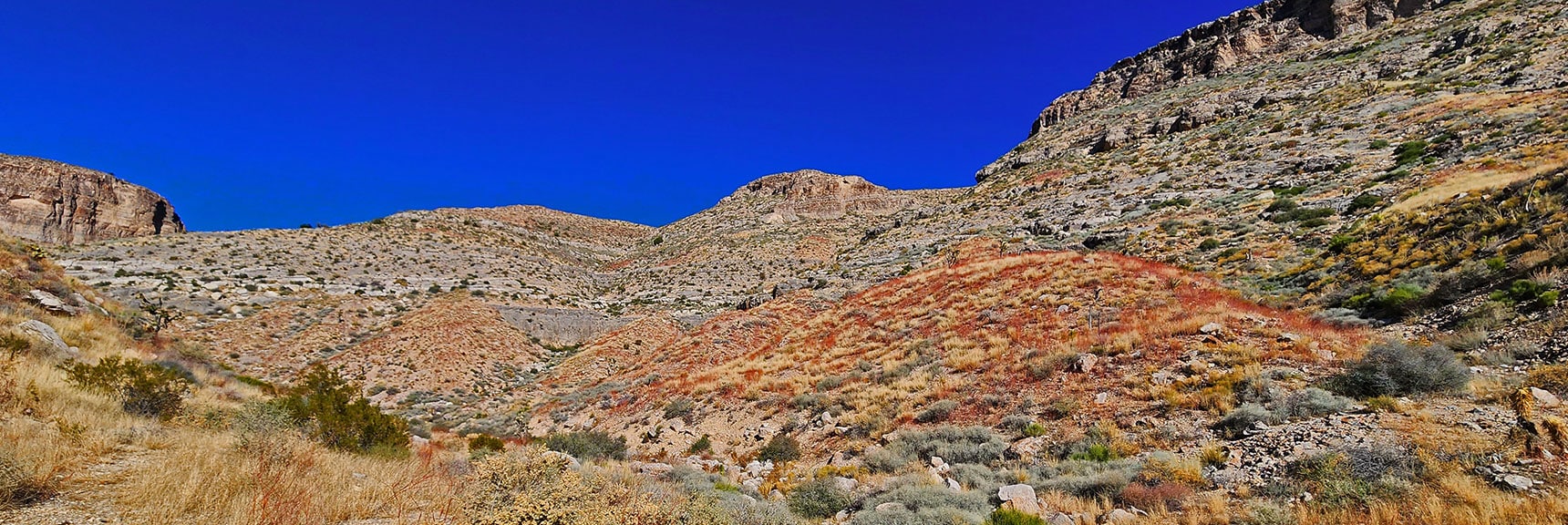 Bluff's Western Summit Line Ahead in Mule Spring Canyon | Landmark Bluff | Lovell Canyon, Nevada