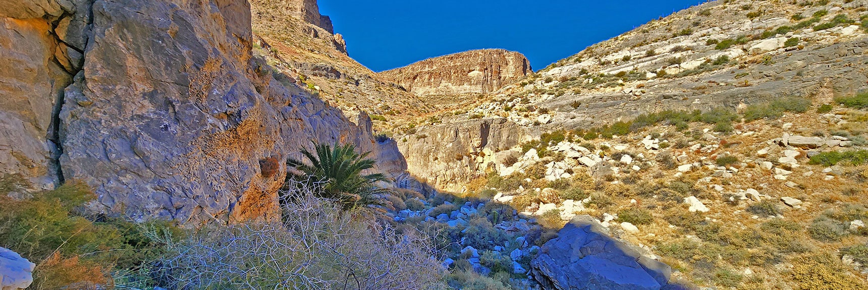 Arrival at Mule Spring. Surrounded by Cliff Walls Making it a Box Canyon. | Landmark Bluff | Lovell Canyon, Nevada
