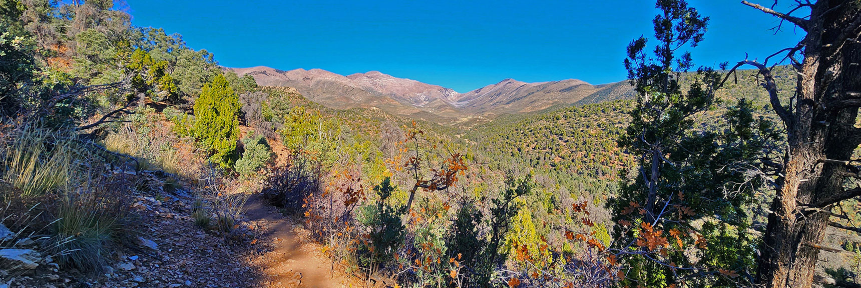 Lovell Canyon Loop Trail | Lovell Canyon Nevada