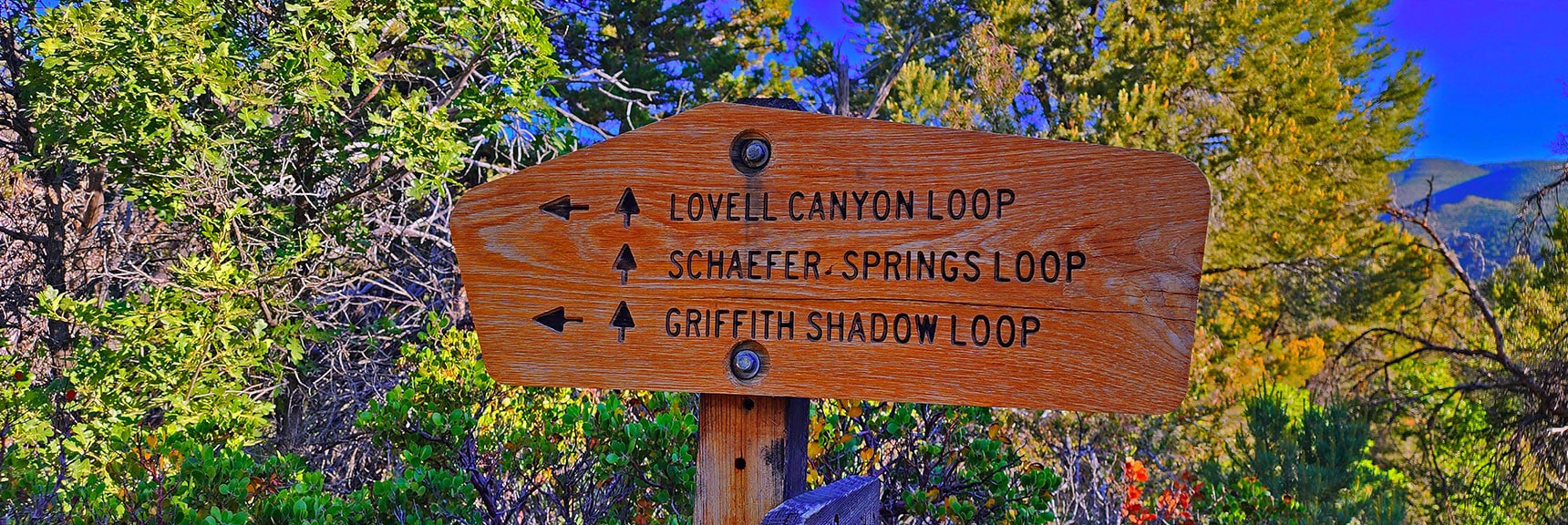 Trail Choices Accessed from Lovell Canyon Loop | Lovell Canyon Loop Trail | Lovell Canyon Nevada