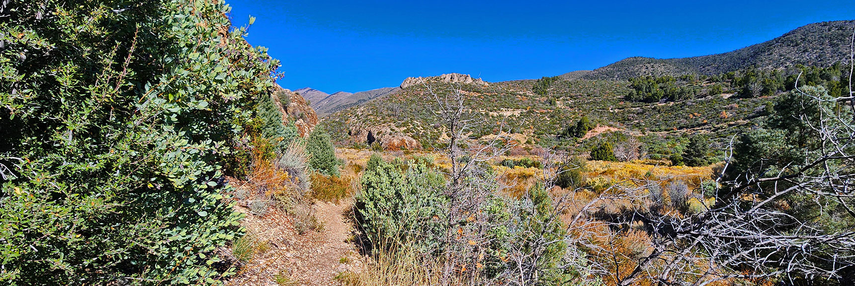 Trail Descends to Lovell Canyon Wash at Base of Rocky Ridgeline. | Lovell Canyon Loop Trail | Lovell Canyon Nevada