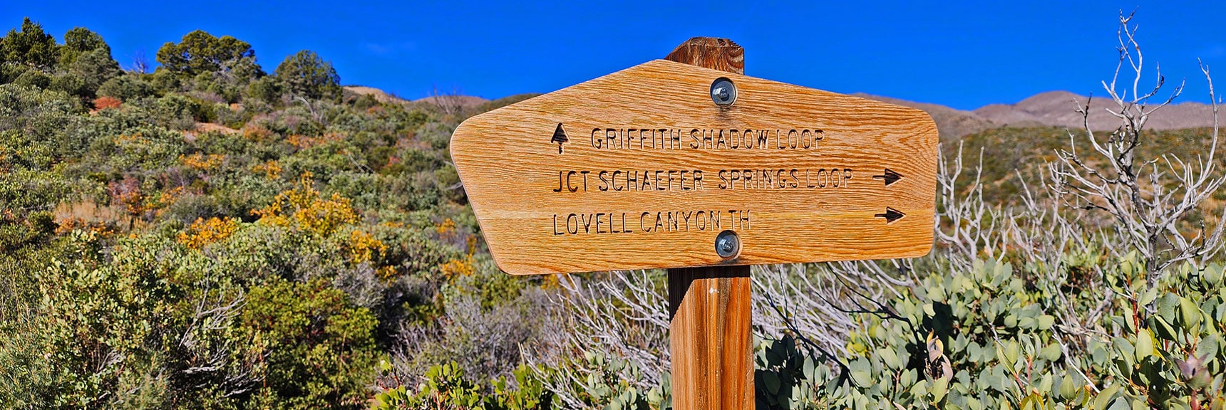 Here's Best Place to Start Griffith Shadow Loop (clockwise). | Lovell Canyon Loop Trail | Lovell Canyon Nevada