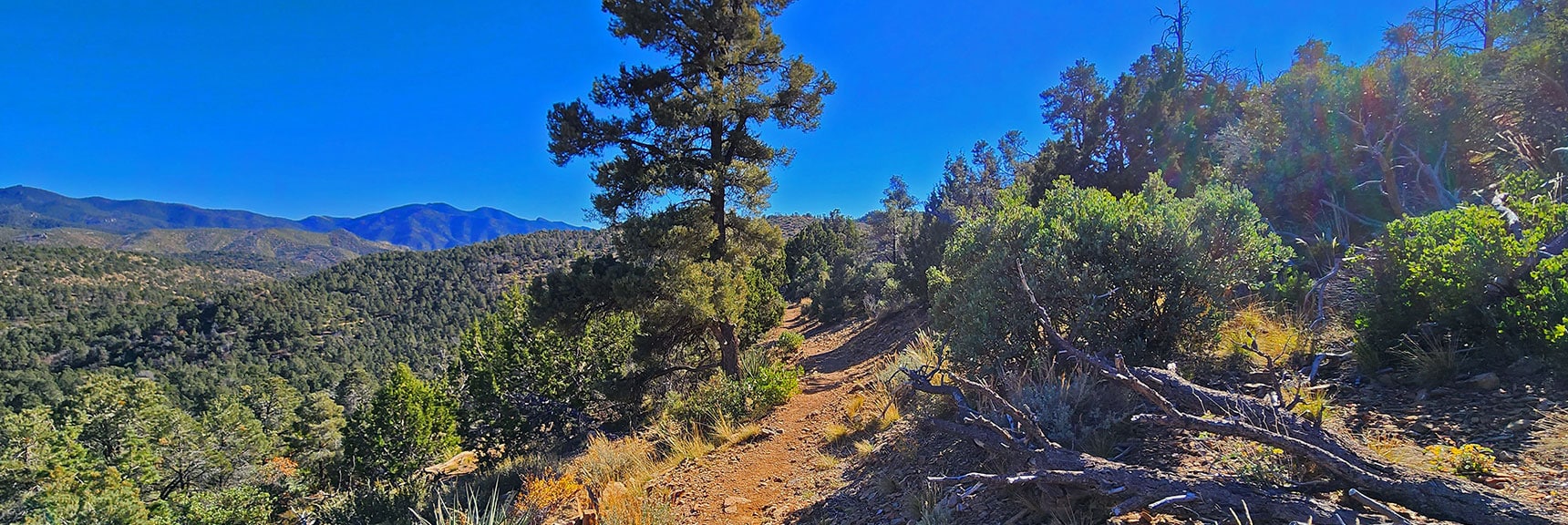 Rounding Corner, Heading Back on Upper Lovell Canyon Loop | Lovell Canyon Loop Trail | Lovell Canyon Nevada