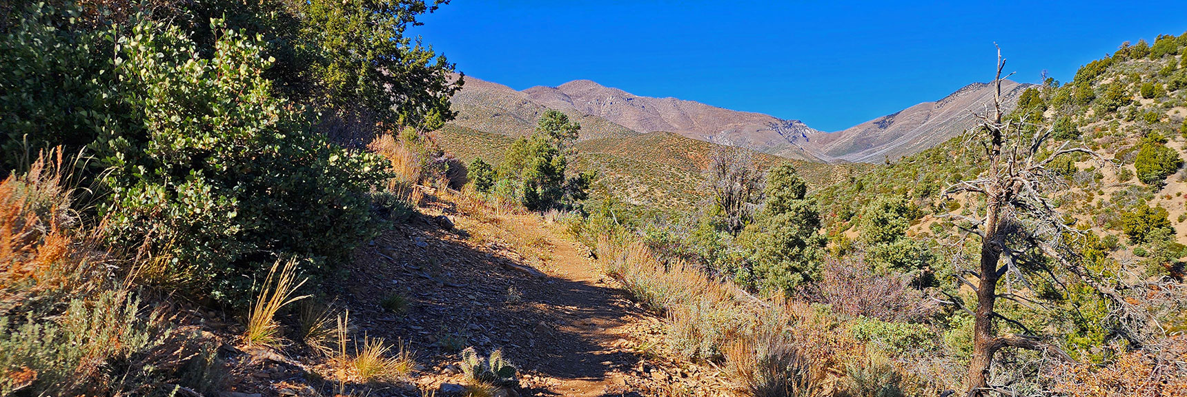 View Back Up Lovell Canyon Loop Trail Toward Upper Lovell Canyon | Lovell Canyon Loop Trail | Lovell Canyon Nevada