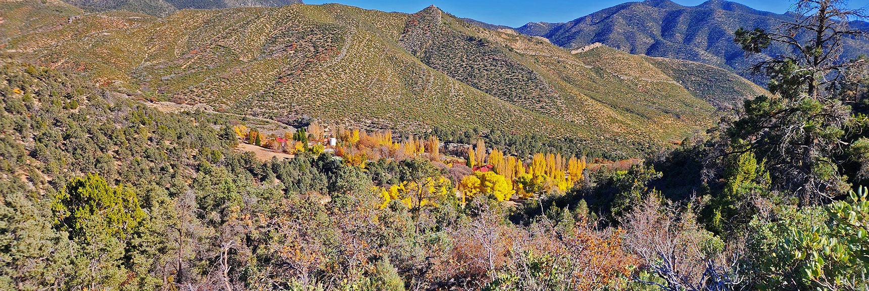 View Down to Torino Ranch/Children's Camp in Fall Colors. | Lovell Canyon Loop Trail | Lovell Canyon Nevada