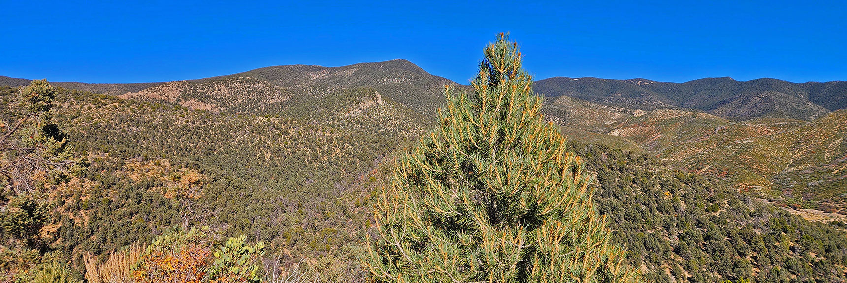 Southern High Point: 8,500ft, Same Height as La Madre Mountain! | Lovell Canyon Loop Trail | Lovell Canyon Nevada