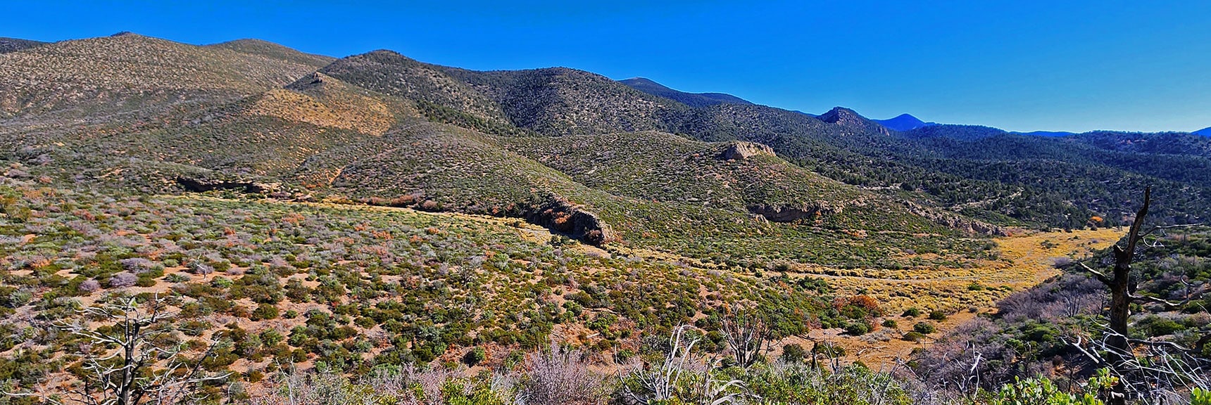 Schaefer Springs Loop Trail | Lovell Canyon, Nevada