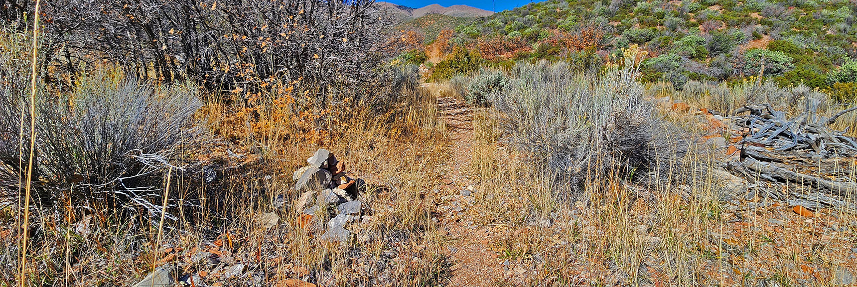 Following Cairns Through the Wash. Cairns Will Be Only Trail Guide When Brush Overgrown. | Schaefer Springs Loop Trail | Lovell Canyon, Nevada