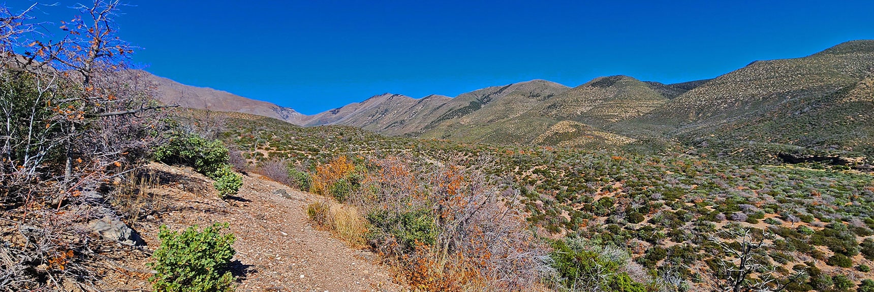 Rounding Hills, Wilson Ridge to Harris Mt., Lovell Canyon East Side Now in View. | Schaefer Springs Loop Trail | Lovell Canyon, Nevada