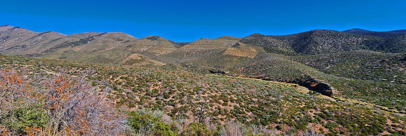 View East Across Lovell Canyon. | Schaefer Springs Loop Trail | Lovell Canyon, Nevada