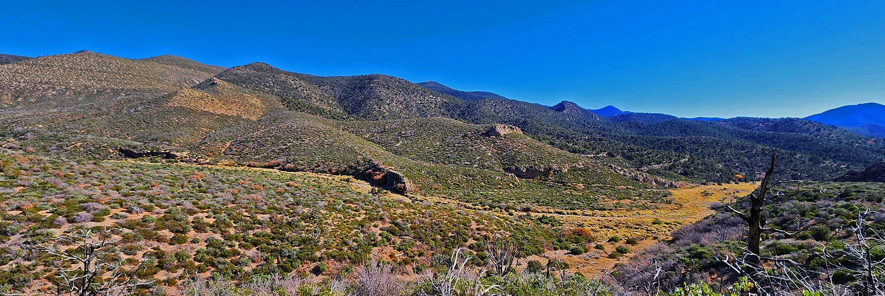 View Down Lovell Canyon | Schaefer Springs Loop Trail | Lovell Canyon, Nevada