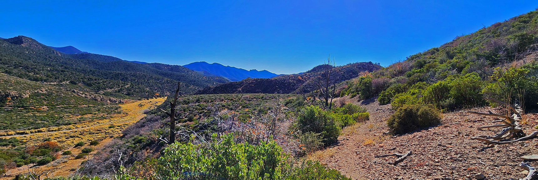 View Back Along Trail Just Traversed. | Schaefer Springs Loop Trail | Lovell Canyon, Nevada