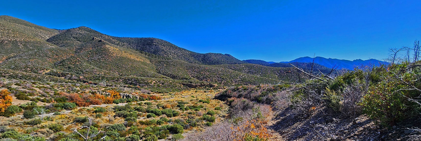 Descending Toward Lovell Main Wash. Low Ledge Target Across Canyon. | Schaefer Springs Loop Trail | Lovell Canyon, Nevada