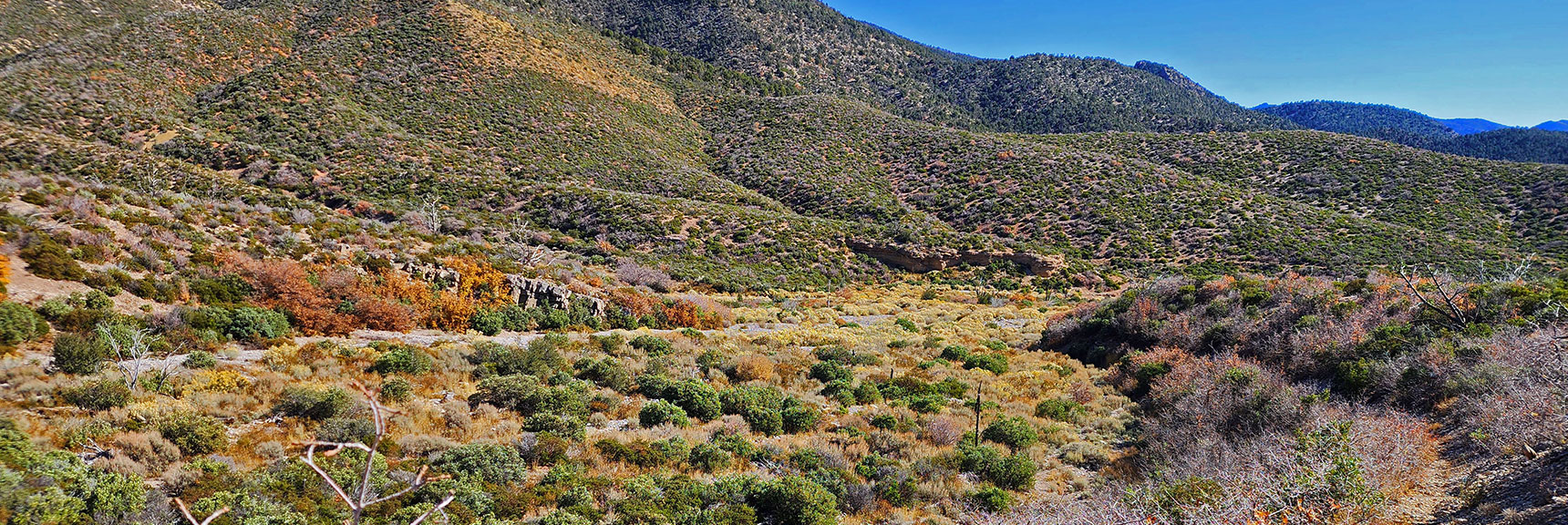 Schaefer Springs Loop Enters East Side of Canyon at Lower End of Low Ridgeline There. | Schaefer Springs Loop Trail | Lovell Canyon, Nevada