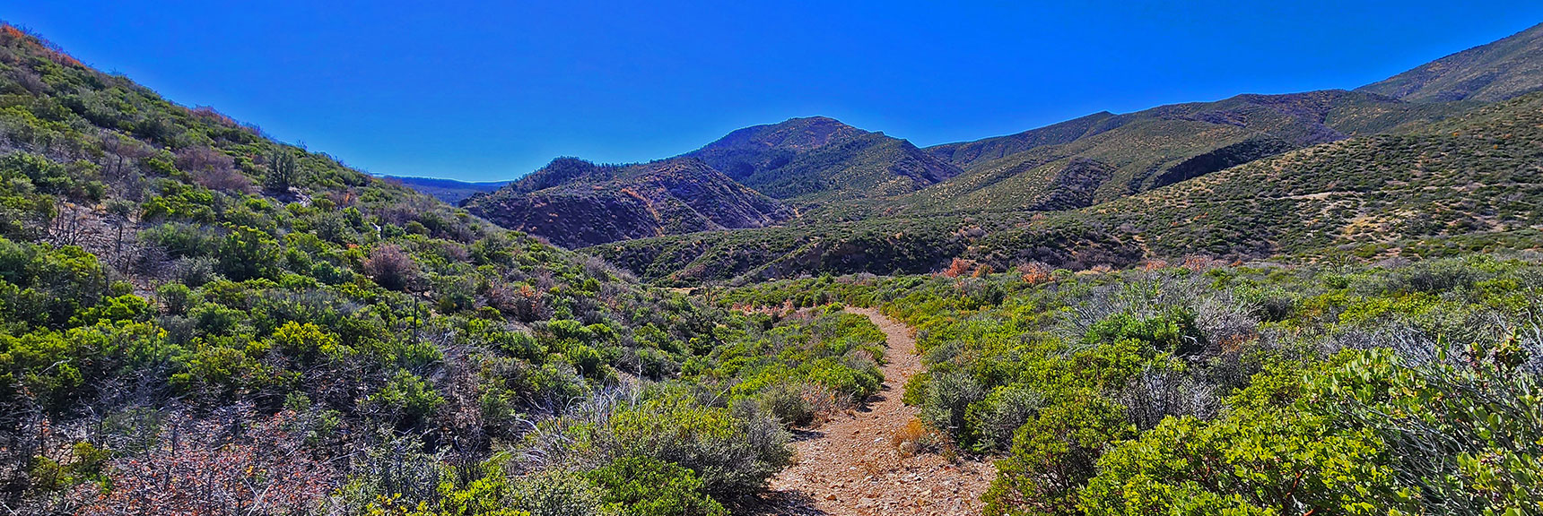 Heading Down Schaefer Springs Loop on East Side of Wash. Best Trail Yet! | Schaefer Springs Loop Trail | Lovell Canyon, Nevada