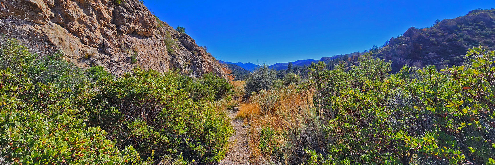 Schaefer Springs Loop Trail Descends Toward Lovell Canyon Main Wash. | Schaefer Springs Loop Trail | Lovell Canyon, Nevada